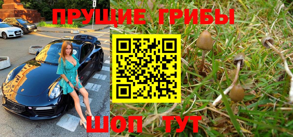 Псилоцибиновые грибы мухоморы  Вход с VPN  Галлюциногенные грибы Psilocybine cubensis  Аргун 